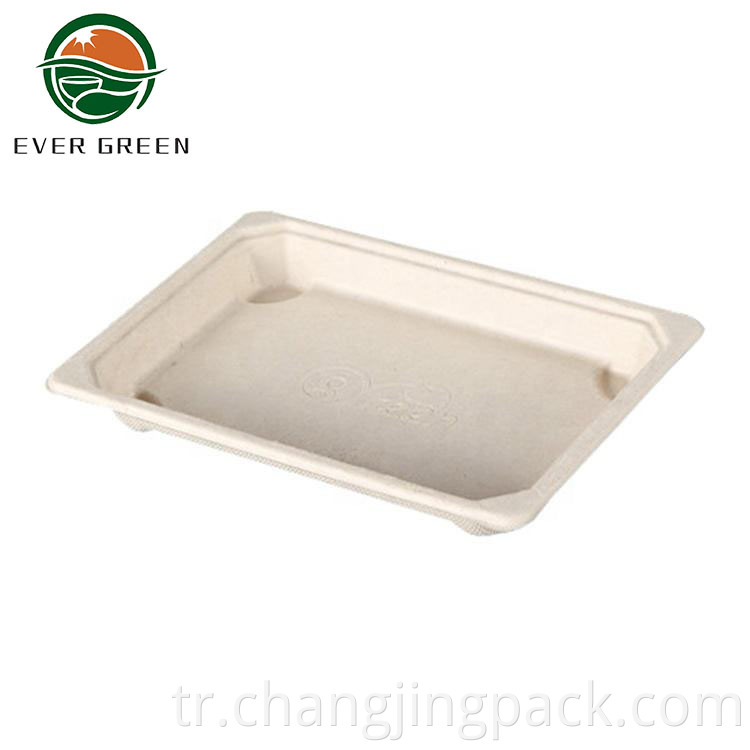 Disposable Food Container